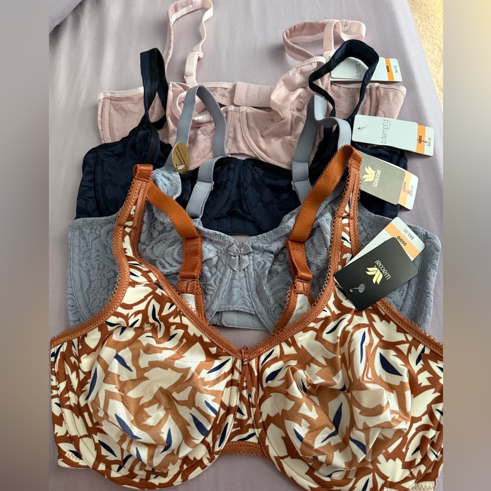 Women's Intimates Collection - Assorted Colors